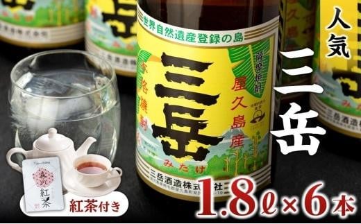 焼酎一升瓶 三岳6本+紅茶セットプラケース鹿児島県屋久島町53000酒・アルコール焼酎