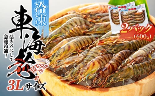 活き〆冷凍 車海老 3Lサイズ 計600g  鹿児島県産 (養殖)【車海老 海老 エビ エビフライ エビチリ 魚介類 冷凍 人気 おすすめ お取り寄せ 鹿児島県 屋久島町  J004】鹿児島県屋久島町19000魚介・海