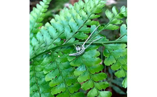 シダ ーpteridophyteー(ネックレス)鹿児島県屋久島町70000衣類・装飾品・工芸品アクセサリー
