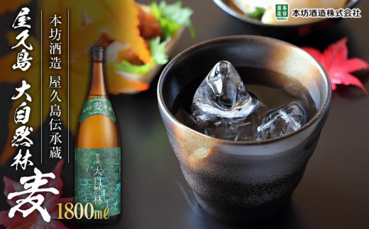 屋久島 大自然林 麦 1,800ml 1本(屋久島産の手造り麦焼酎)<本坊酒造 屋久島伝承蔵>鹿児島県屋久島町12000酒・アルコール焼酎