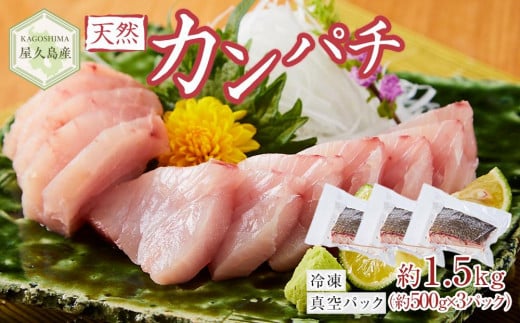 屋久島産 天然カンパチ 約1.5kg(約500g×3) ブロック 冷凍 真空パック鹿児島県屋久島町30000魚介・海産物鮮魚