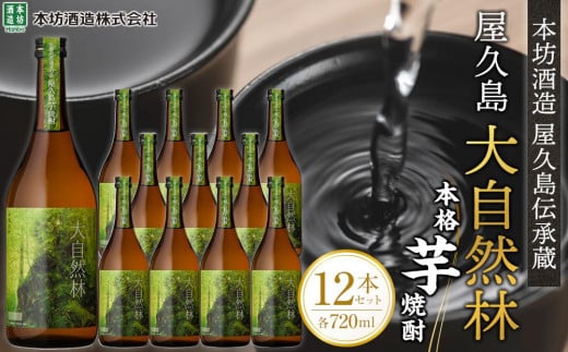 屋久島 大自然林 芋 720ml 12本 本格芋焼酎 <本坊酒造 屋久島伝承蔵>鹿児島県屋久島町67000酒・アルコール焼酎
