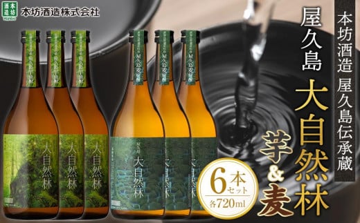 屋久島 大自然林 芋・麦 720ml 各3本 計6本<本坊酒造 屋久島伝承蔵>鹿児島県屋久島町35000酒・アルコール焼酎