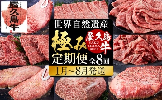 【定期便 全8回】【屋久島牛】世界自然遺産 全品堪能定期便<1〜8月発送>鹿児島県屋久島町140000肉牛肉