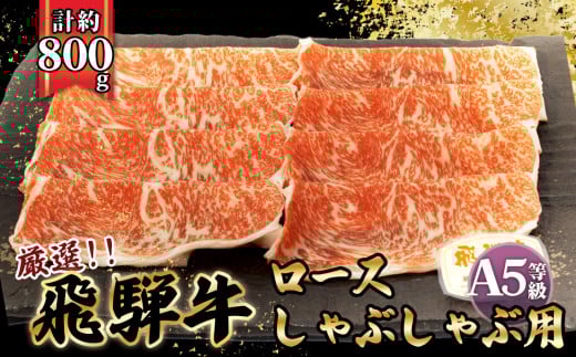 X傱莓 ˋA5@[X@Ԃԗp@800g [No.067] ^  uh  X Ⓚ 򕌌 Y򕌌Rs30000