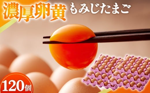 yRc{{zZ݂܂y120z [No.190] ^ ^}S Y VN ̂ꂽ 򕌌 Y򕌌Rs22000Eii{AG{j