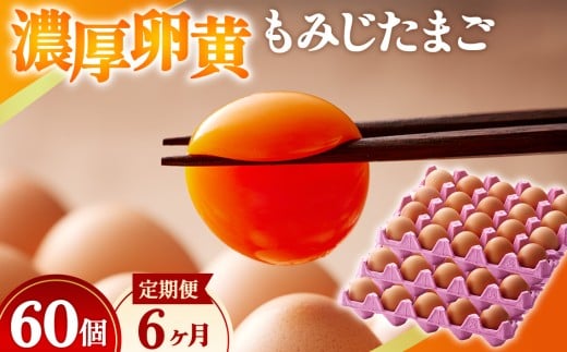 Z݂܂y60zy6Az [No.937] ^ ^}S Y VN ̂ꂽ 򕌌 Y򕌌Rs72000Eii{AG{j