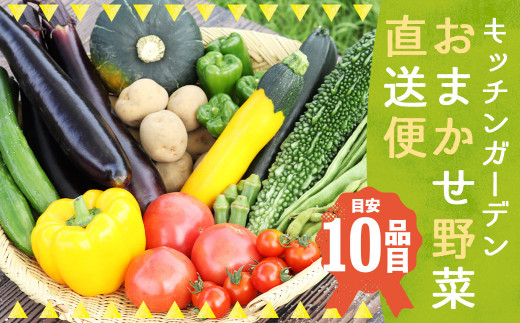 キッチンガーデンおまかせ野菜直送便/農家 野菜 サラダ 産地直送 旬 季節野菜 いろいろ 詰め合わせ 国産 冷蔵岩手県二戸市13000野菜・きのこその他 野菜