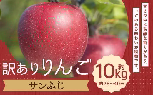 訳あり りんご (サンふじ) 約10kg/ リンゴ 林檎 フルーツ くだもの 果物 果実 わけあり お取り寄せ 【2025年12月下旬−2026年1月下旬発送予定】岩手県二戸市15000果物・フルーツりんご・梨