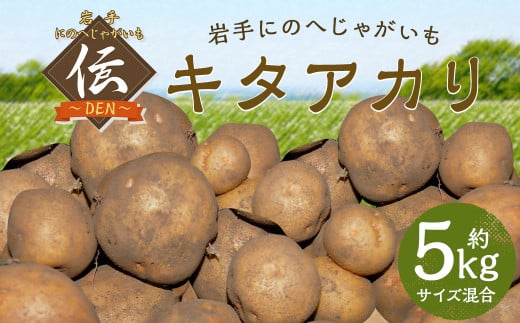 【厳選品】岩手にのへじゃがいも「伝」キタアカリ (サイズ混合) 5kg 【2025年9月中旬から2026年2月下旬発送予定】/ジャガイモ じゃがいも 芋 イモ ポテト 野菜 お取り寄せ 農家 産地直送岩手