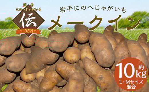 【厳選品】岩手にのへじゃがいも「伝」メークイン (L・Mサイズ)10kg 【2025年9月中旬から2026年2月下旬発送予定】/ジャガイモ じゃがいも 芋 イモ ポテト 野菜 お取り寄せ 農家 産地直送岩