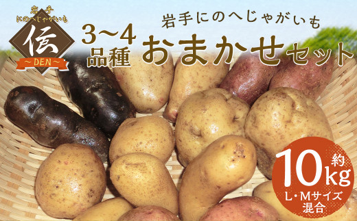 【厳選品】岩手にのへじゃがいも「伝」3〜4種 品種おまかせ (L・Mサイズ混合) 10kg 【2025年9月中旬から2026年2月下旬発送予定】/ジャガイモ じゃがいも 芋 イモ ポテト 野菜 お取り寄せ  農家