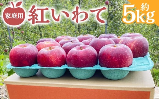 家庭用 りんご 紅いわて 約5kg 【スマートフレッシュ処理】 【2025年10月上旬〜12月中旬発送予定】 / 林檎 果物 果実 フルーツ スイーツ デザート 岩手県 二戸市 常温岩手県二戸市16000果物・