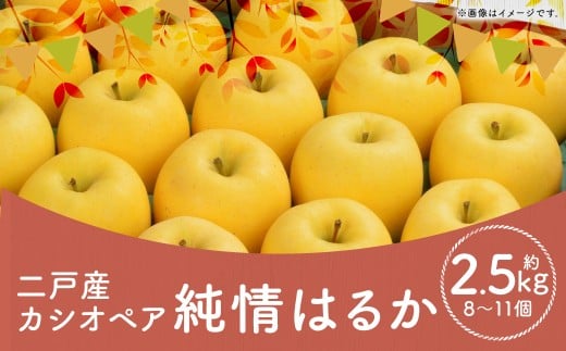 ˎY JVIyA ͂邩 2.5kg iF8`11j y2025N12{`{\z ^ ь S t[c ʕ ͂邩 Yt[c 茧 ˎs 퉷茧ˎs16000ʕE