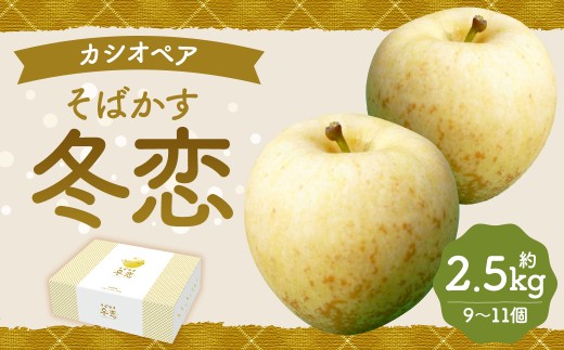 ˎY JVIyA ΂~͂邩 2.5kg y2025N12{-{\z ^ь S t[c ʕ ͂邩   x15xȏ Tr茧ˎs17000ʕEt[