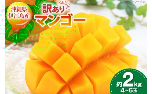 yԌ蔭z 󂠂 }S[ (A[EB)  2kg (4`6) [ɍ]}S[ ꌧ ɍ] ie47bde320010]  t[c ʕ Â  Z Mango ʕ ʎ ̉ꌧɍ]18000