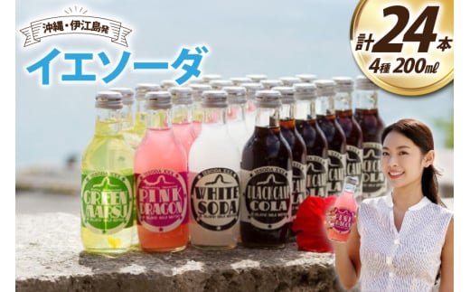 \[_  CG\[_ 24{Zbg [ɍ]YZ^[ ꌧ ɍ] ie47bde210012] Y_ VV  Ntg\[_ W[X TC_[ꌧɍ]33000Ȇ 