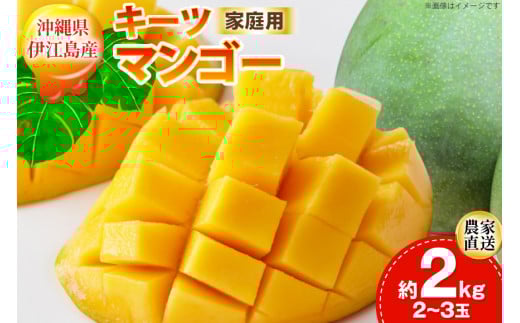 yԌ蔭z ƒp L[c }S[  2kg (2`3) [ɍ]}S[ ꌧ ɍ] ie47bde320000] L[c}S[  t[c ʕ Â  Z Mango ʕ ʎ ̉ꌧɍ]