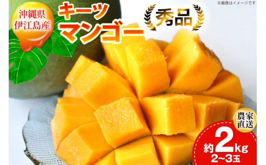 yԌ蔭z L[c }S[ Gi  2kg (2`3) [ɍ]}S[ ꌧ ɍ] ie47bde320009] L[c}S[  t[c ʕ Â  Z Mango ʕ ʎ ̉ꌧɍ]
