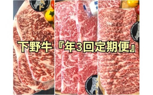 「下野牛」定期便3回コース(配送月 2月、6月、10月) F7Z-152栃木県足利市100000肉牛肉