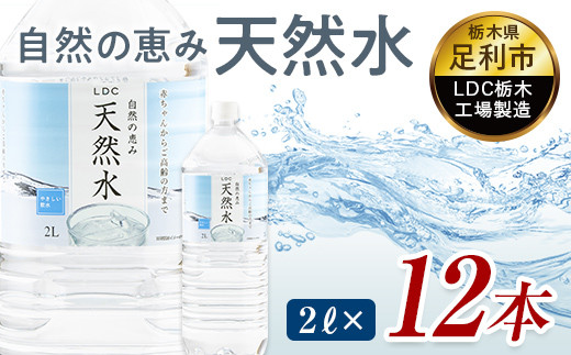 水 ミネラルウォーター 天然水 2L 12本 お水 飲料水 軟水で飲みやすい 備蓄品としてもオススメ F7Z-416栃木県足利市6000お茶・飲料水・ミネラルウォーター