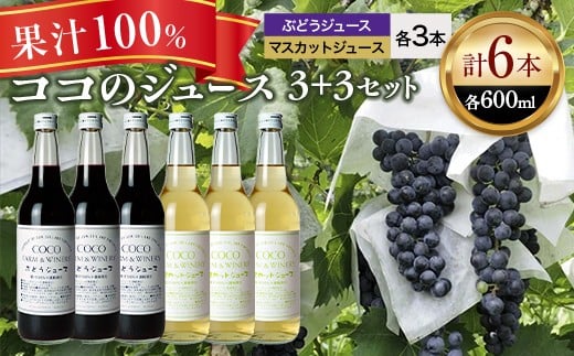 ココのジュース3+3セット【 ジュース 栃木県 足利市 】 F7Z-013栃木県足利市21000お茶・飲料果汁・野菜飲料
