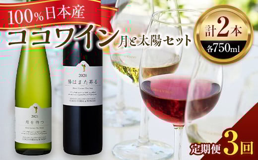 【定期便3ヶ月】ココワイン/月と太陽セット 3ヶ月連続でお届け【 ワイン お酒 栃木県 足利市 】 F7Z-016栃木県足利市73000酒・アルコールワイン