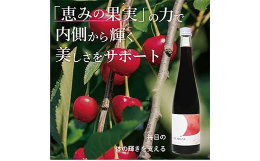 濃縮タルトチェリー500ml瓶 (3倍希釈タイプ)【 ギフト プレゼント お中元 お歳暮 贈答品 栃木県 足利市 】 F7Z-1369栃木県足利市10000お茶・飲料果汁・野菜飲料
