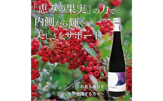 濃縮サンザシ500ml瓶 (3倍希釈タイプ)【 ギフト プレゼント お中元 お歳暮 贈答品 栃木県 足利市 】 F7Z-1370栃木県足利市10000お茶・飲料果汁・野菜飲料