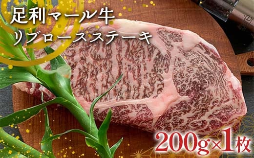 yXe[L̉z}[ u[XXe[L (200g×1)  Ȗ، s F7Z-1410Ȗ،s11000