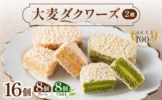 大麦ダクワーズ 2種セット 計16個(プレーン、宇治抹茶 各8個) 栃木県 足利市 F7Z-1366栃木県足利市12000菓子・スイーツその他 洋菓子
