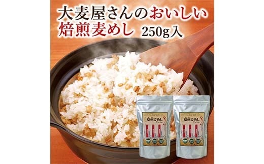 おいしい焙煎麦めし 250g×2 栃木県 足利市 F7Z-1365栃木県足利市12000米・パン玄米・雑穀米・もち米・餅