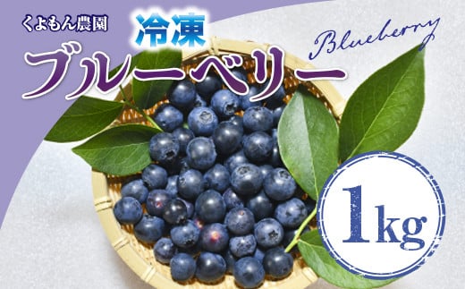 くよもん農園 冷凍 ブルーベリー 1kg AG01滋賀県愛荘町11000果物・フルーツ