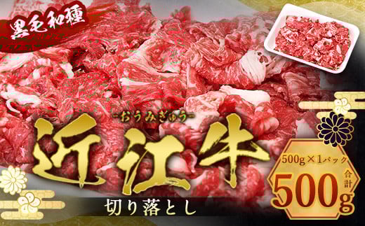 ߍ] ؂藎Ƃ 500g@ a јa Y@AI10ꌧ16000