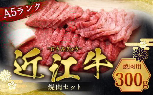 近江牛 焼肉 セット 300g 牛肉 和牛 黒毛和牛 国産 AI28滋賀県愛荘町24000肉牛肉