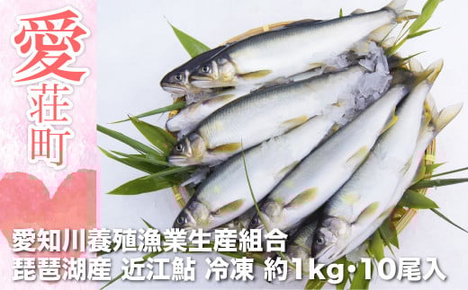 愛知川養殖漁業生産組合 琵琶湖産 近江鮎 約1kg(10尾) 冷凍AV02滋賀県愛荘町12000魚介・海産物鮮魚