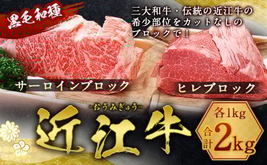 近江牛 サーロイン ブロック &  ヒレ ブロック 各1kg 合計2kg 牛肉 和牛 黒毛和牛 国産 AI18滋賀県愛荘町210000肉牛肉