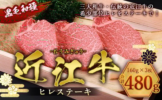 近江牛 ヒレ ステーキ 160g×3枚 牛肉 和牛 黒毛和牛 国産  AI02滋賀県愛荘町68000肉牛肉