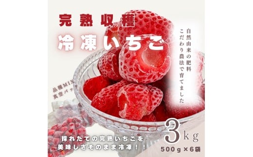 【採れたて瞬間冷凍!】滋賀県愛荘町産 冷凍いちご 3kg(500g×6)品種ミックス 冷凍 いちご 紅ほっぺ よつぼし みおしずく あまえくぼ  BJ06滋賀県愛荘町23000果物・フルーツいちご