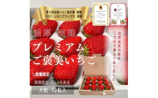 完熟いちご大粒ギフトボックス 品種おまかせ 滋賀県愛荘町産 2026年2月〜2026年4月頃発送 BJ02滋賀県愛荘町20000果物・フルーツいちご