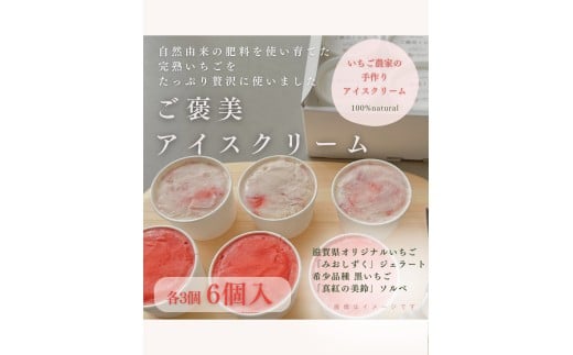 滋賀県愛荘町産 いちごを贅沢に使った濃厚いちごのご褒美ice 希少品種黒いちごの「真紅の美鈴ソルベ」滋賀県オリジナルいちごの「みおしずくジェラート」6個セット(各3個) BJ08滋