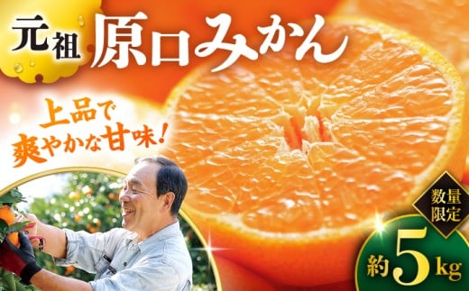 ys\zwcx ݂ 5kg ݂ ʎ [CCW001] ~J  ݂ C݂  Mtg 茧Y ݂  C茧Cs18000ʕEt[c݂Ek