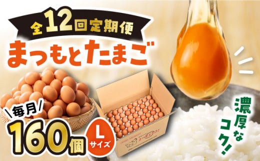 y12ցz ܂Ƃ܂ LTCY ԋ 160 {{{ꁄ[CCD016]茧Cs264000Eii{AG{j