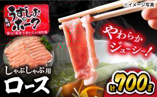 y1TԈȓz XCX 肤|[N [X i Ԃ pj700g 󂠂 X[p[EGXg [CAG027] CsY ؓ  XCX ԂԒ茧Cs11000ؓ