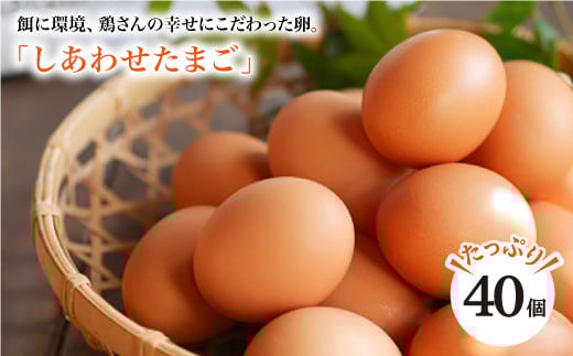 ymXgXz  u킹܂ v40{{{ꁄ [CCD021]茧Cs15000Eii{AG{j