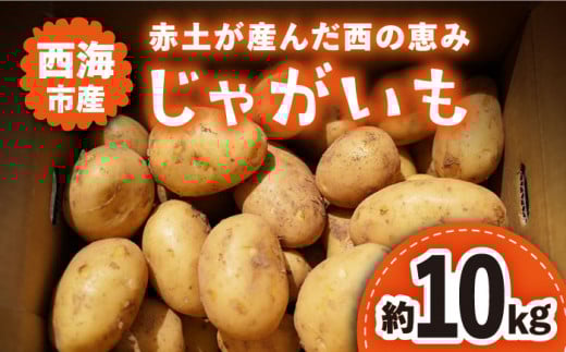 ys\zy2026N5{蔭z Ⴊ CsY  10kg t@[܂邾 [CDT002] WKC Ⴊ  CsY Ⴊ ؒ茧Cs14000؁ÊႪ