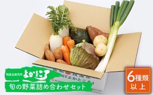  lߍ킹 i6ȏj C  lߍ킹 { VN ̂ꂽ CYi 悩Ƃ끄 [CBO002]茧Cs15000؁Ê̑ 