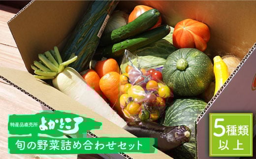  lߍ킹i5ȏj C  lߍ킹 { VN ̂ꂽ CYi 悩Ƃ끄 [CBO003]茧Cs11000؁Ê̑ 