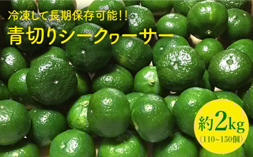 yTVŘbIzys\z؂ V[N[T[ 2kgi110`150j LÔ_ [CBN011] mr` t \ Vs W[X ʔ { ؂  k茧Cs11000ʕEt[