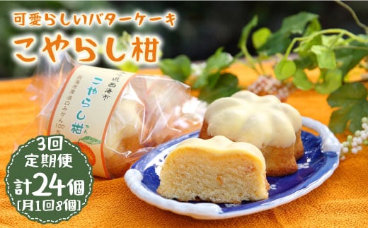 y18×3ցz炵 v24َq̂킵 [CAM020]茧Cs27000َqEXC[cP[LEJXe